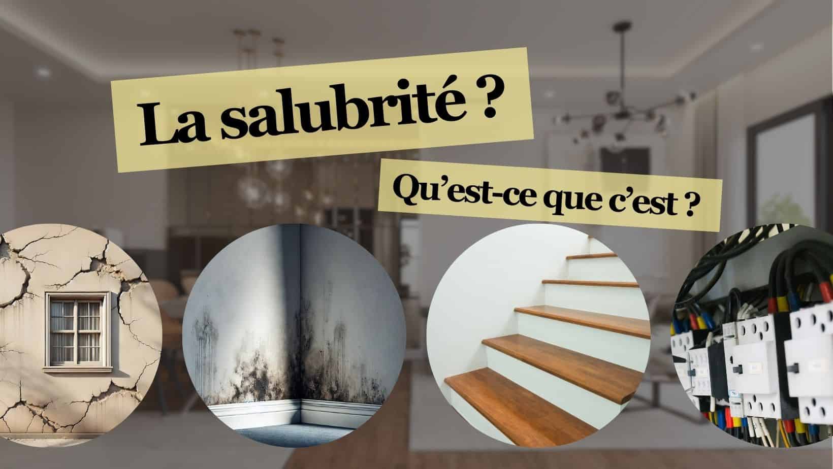 salubrité logement agence immobilière sociale